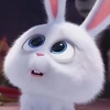 pandikkx