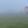 Скука страшная