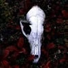 Nighmare_Katelyn61