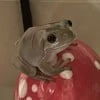 жёлтая подлодка