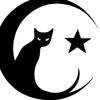 Коты_Полнолуния