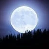 moon__light_