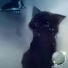 Kotik_Amon