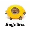 It is a Lina
