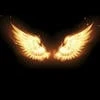 angeldashafr