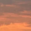 lalalaokokoko