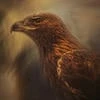 Hawk Spirit
