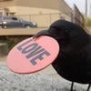 Sweet Karma