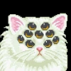 Quazerfix .-.