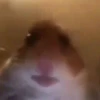 Это что-то