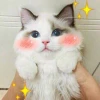 ArhaaIit