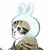 kkassp