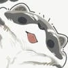 Black_raccoon
