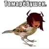 Ёбжик наркоман
