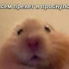 яниктовэтойжизни