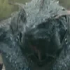 MartiStorm