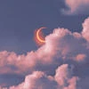 SkyDied