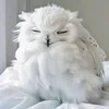 Сова из Сумеру