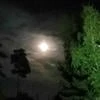 УтреннийРассказчик