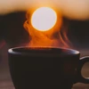 0_night_tea_0