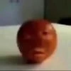 Amomegus