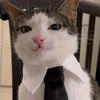 Короткий Покой