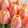 GlamrockRoxy0509