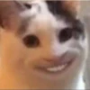 Baneeq