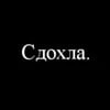 НадяШипп