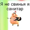 _Пепелац_