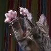 bubble girl
