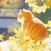 Скромный уют