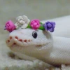 _Свити_