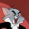 Mr. Mad Cat