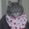 Человек Человечий