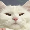 Безвредный