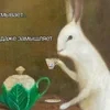 Сегодня Я Точно Улечу Домой