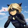 Noir Cat