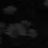 Name___0