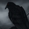 Lucius-D Crow