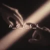 n_e_l_s_i