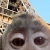 Катриникс