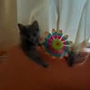 Анкета