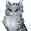 СеребрянаяКошка
