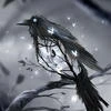 RavenRave