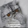 Гехардра