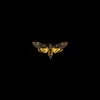 Acherontia atropos 1758