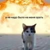 Чнега814