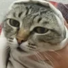 Кто прочитал тот натрий