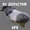 Psix.01